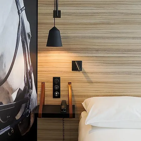 Hotel Ibis Styles Centre Gare Laval (Mayenne)