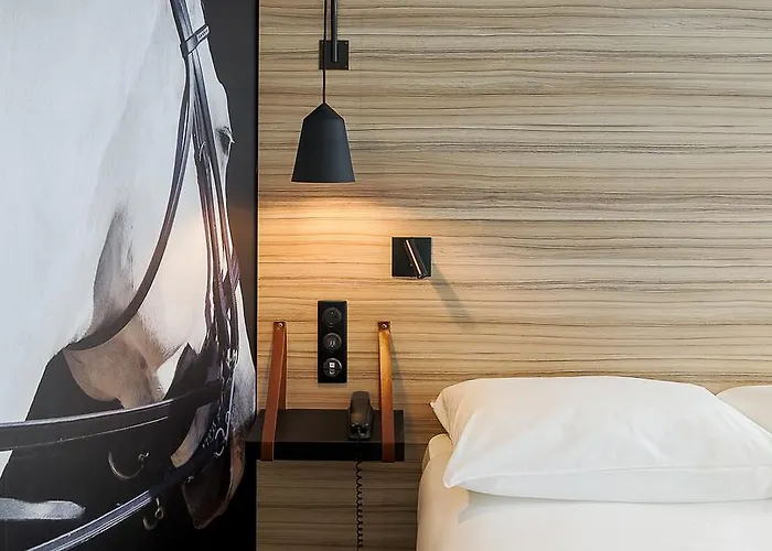 Hotel Ibis Styles Centre Gare Laval (Mayenne)